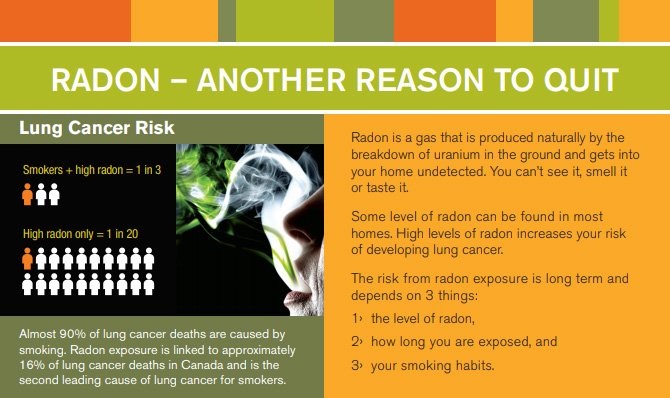 Factsheet