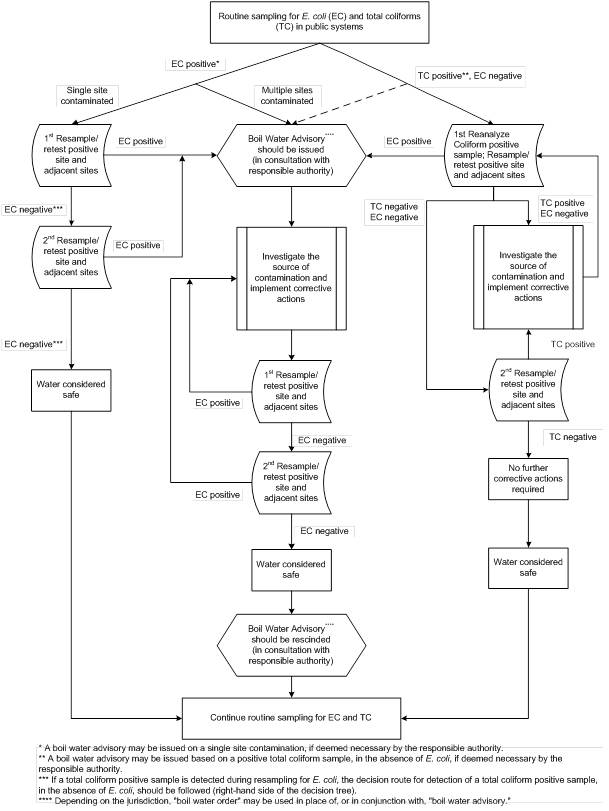 A decision tree for determining recommended actions for responding to E. coli and total coliform positive samples, collected during routine monitoring of public systems.