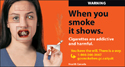 Numerous effects caused by cigarettes shown on a young woman (i.e. premature wrinkling, dental problems, eye problems).