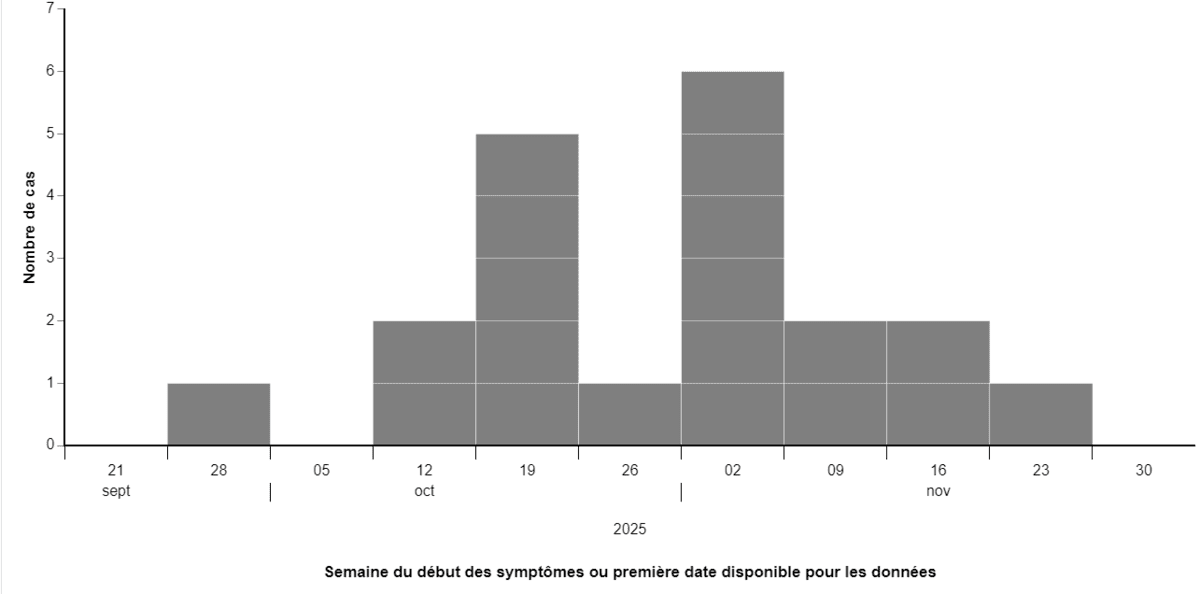 Figure 1 - Équivalent textuel