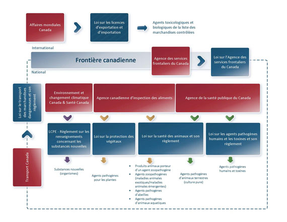 Figure&nbsp;3&nbsp;: Surveillance des agents pathogènes, des toxines et des phytoravageurs réglementés au Canada
