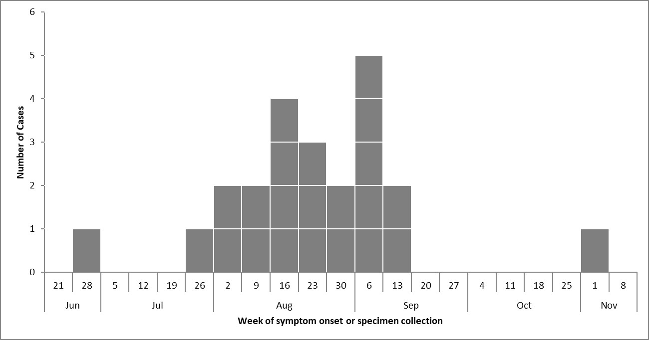 fig1-eng