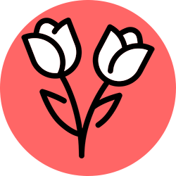 tulip icon
