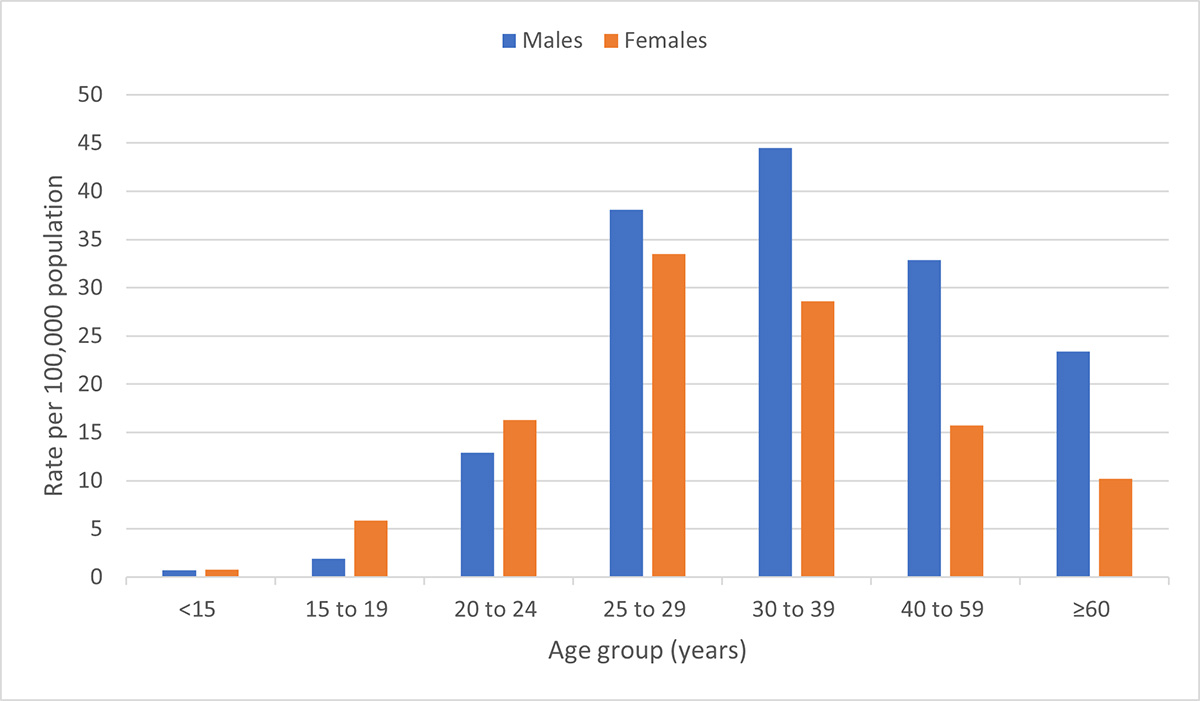 Figure 2. Text version below.