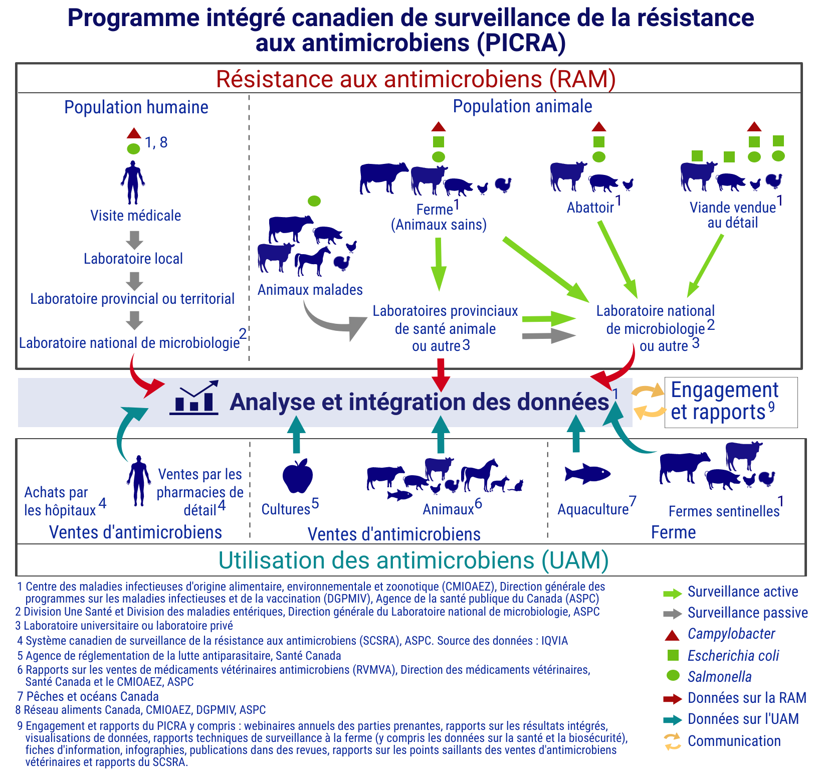 Figure 1. Composantes de surveillance intégrée du PICRA
