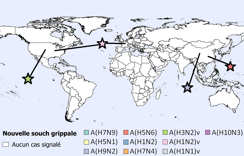 Répartition géographique des cas humains de grippe aviaire et porcine dans le monde en septembre 2021 (n=11)