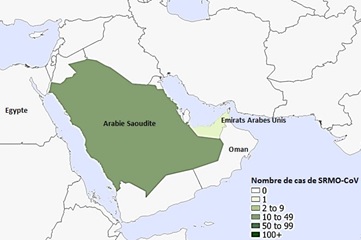 Une figure indiquant la répartition spatiale des cas signalés du SRMO en octobre 2019.