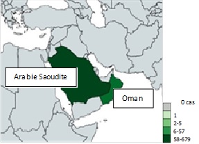 Une figure indiquant la répartition spatiale des cas signalés du SRMO du 1e janvier 2019 au 28 février 2019. 