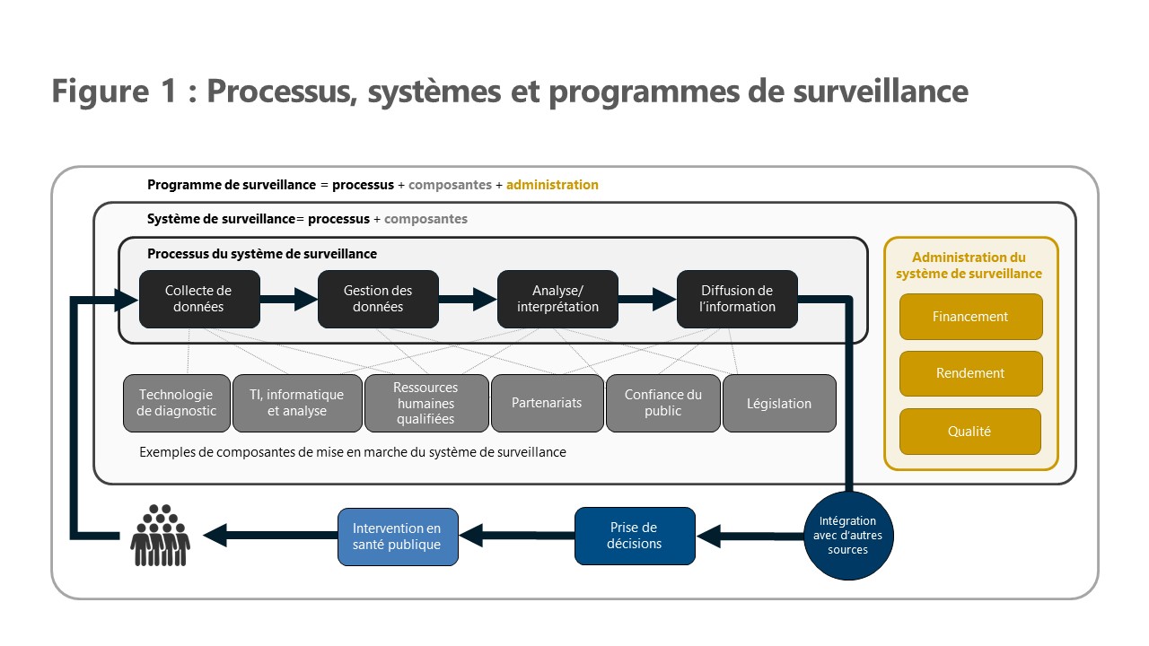 Figure 1 : Processus, systèmes et programmes de surveillance