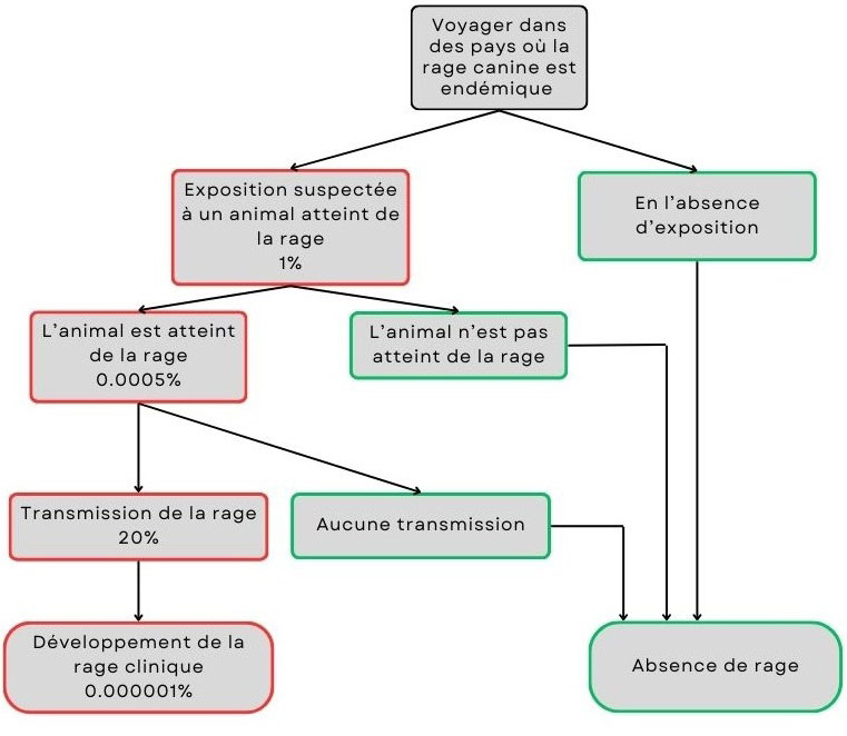 voir la Texte descriptif ci-dessous