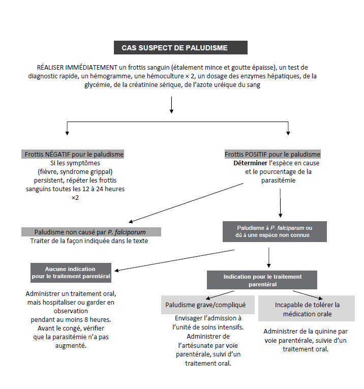 Cette image est un algorithme qui explique le processus de prise en charge du paludisme