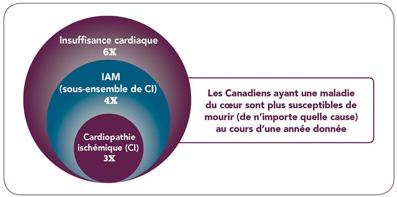 Infographie 5. Équivalent textuel ci-dessous.