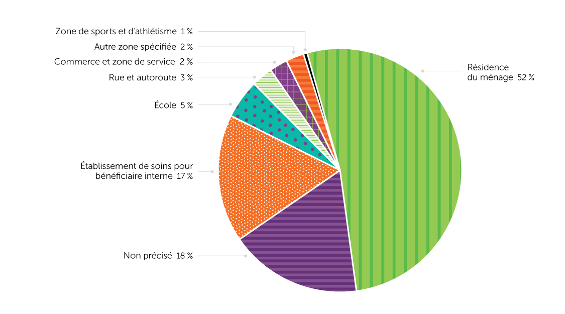 Figure 17. Hospitalisations liées à une chute, selon le lieu de survenue de la chute, population âgée de 65 ans ou plus, Canada (Québec non compris), 
données regroupées de 2015/2016 à 2019/2020