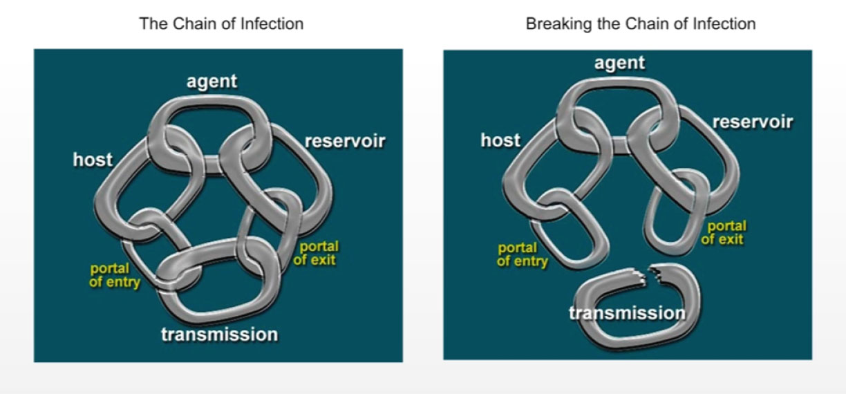 Figure&nbsp;1a and 1b: Chain of infection. Text description follows.