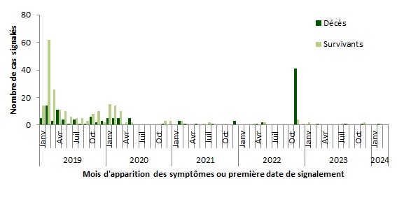 Figure 5. La version textuelle suit