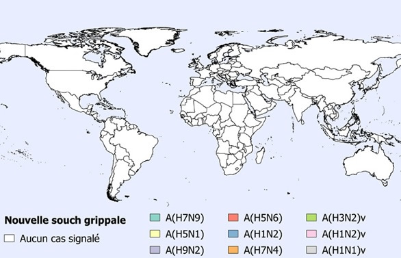 Une figure indiquant la répartition spatiale des cas humains des grippes aviaires et porcines en avril 2020 (n=0).