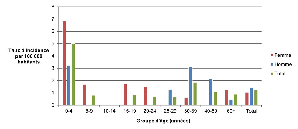 Figure 6.4: La version textuelle suit.