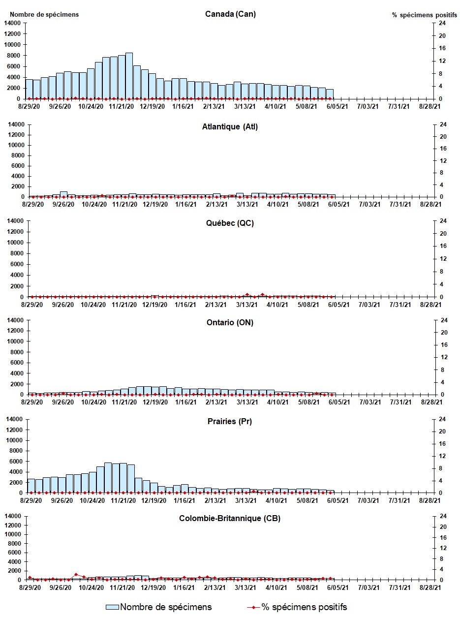 Figure 6. La version textuelle suit.