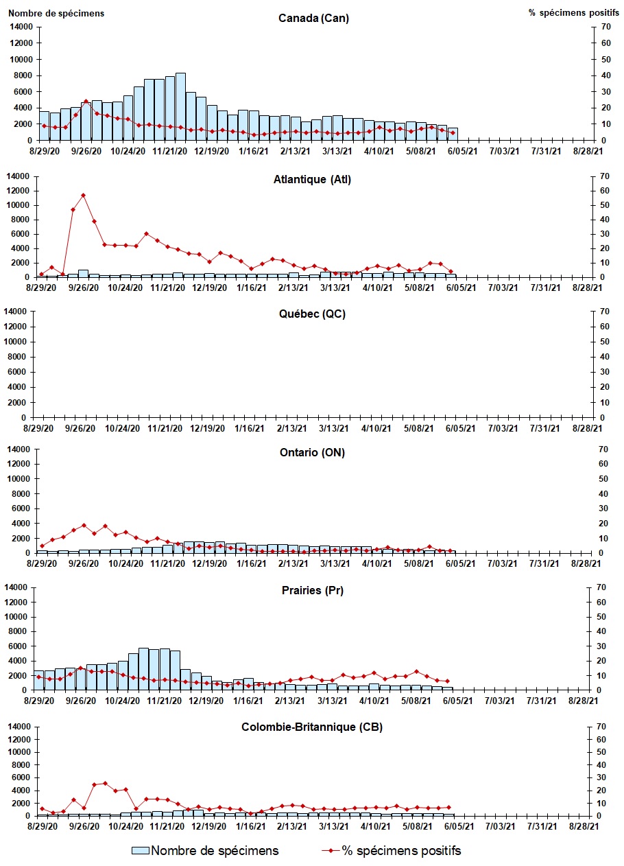 Figure 7. La version textuelle suit.
