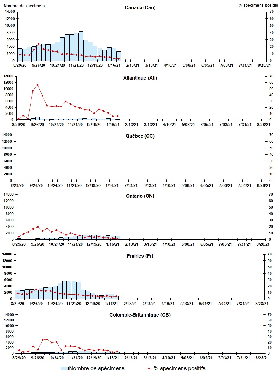 Figure 7. La version textuelle suit.