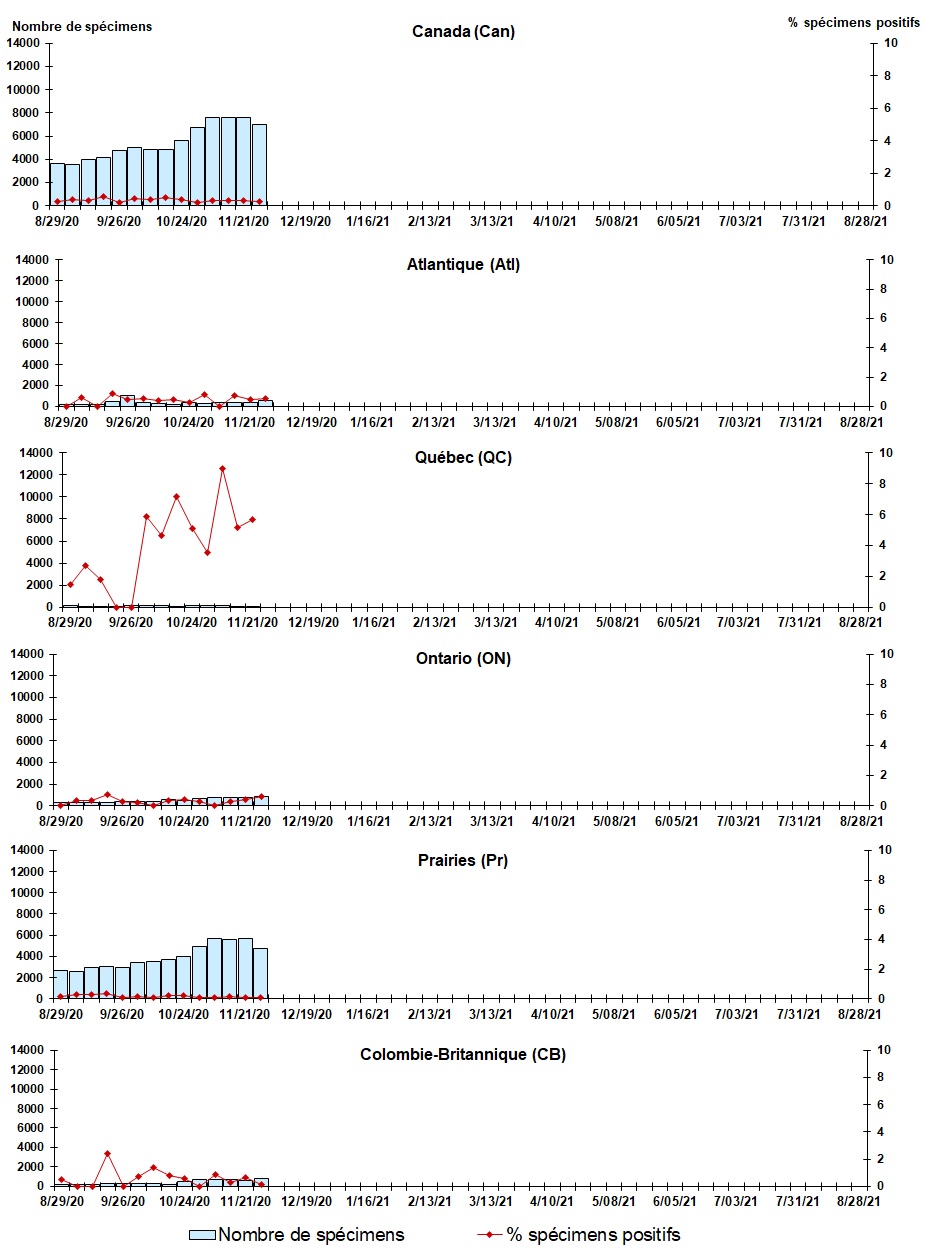 Figure 5. La version textuelle suit.