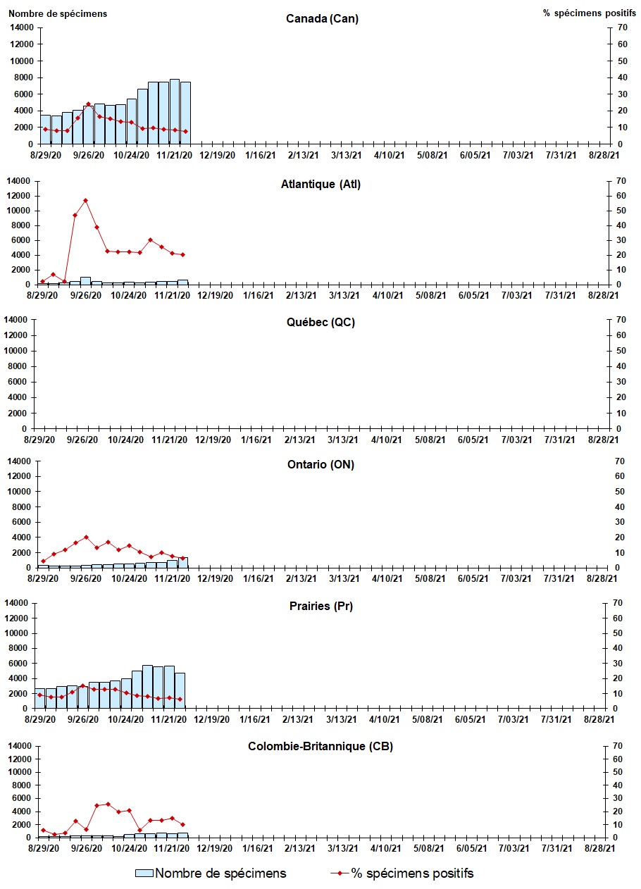 Figure 7. La version textuelle suit.