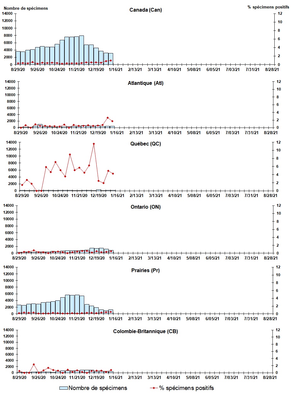 Figure 5. La version textuelle suit.