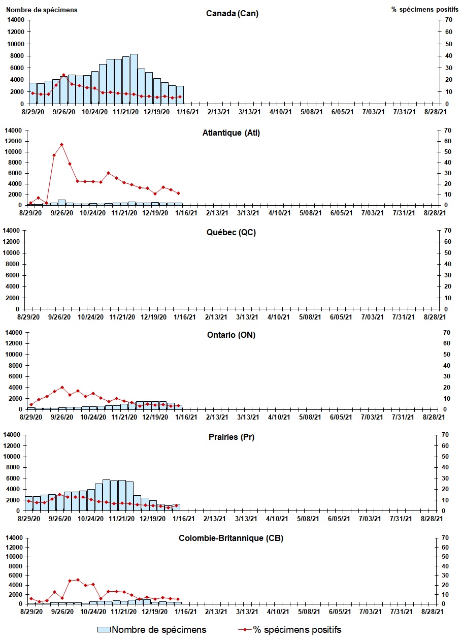 Figure 7. La version textuelle suit.
