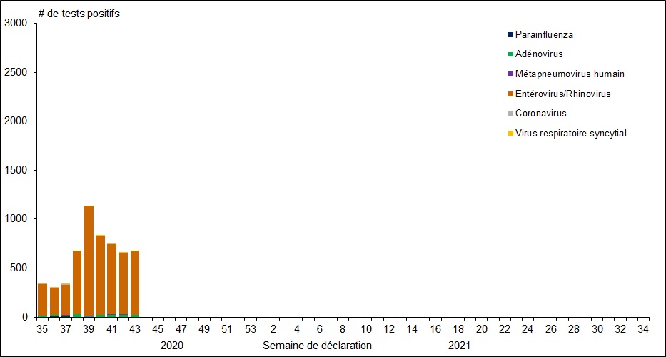 Figure 1. La version textuelle suit