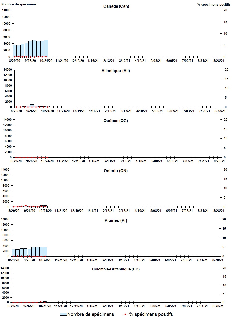 Figure 4. La version textuelle suit
