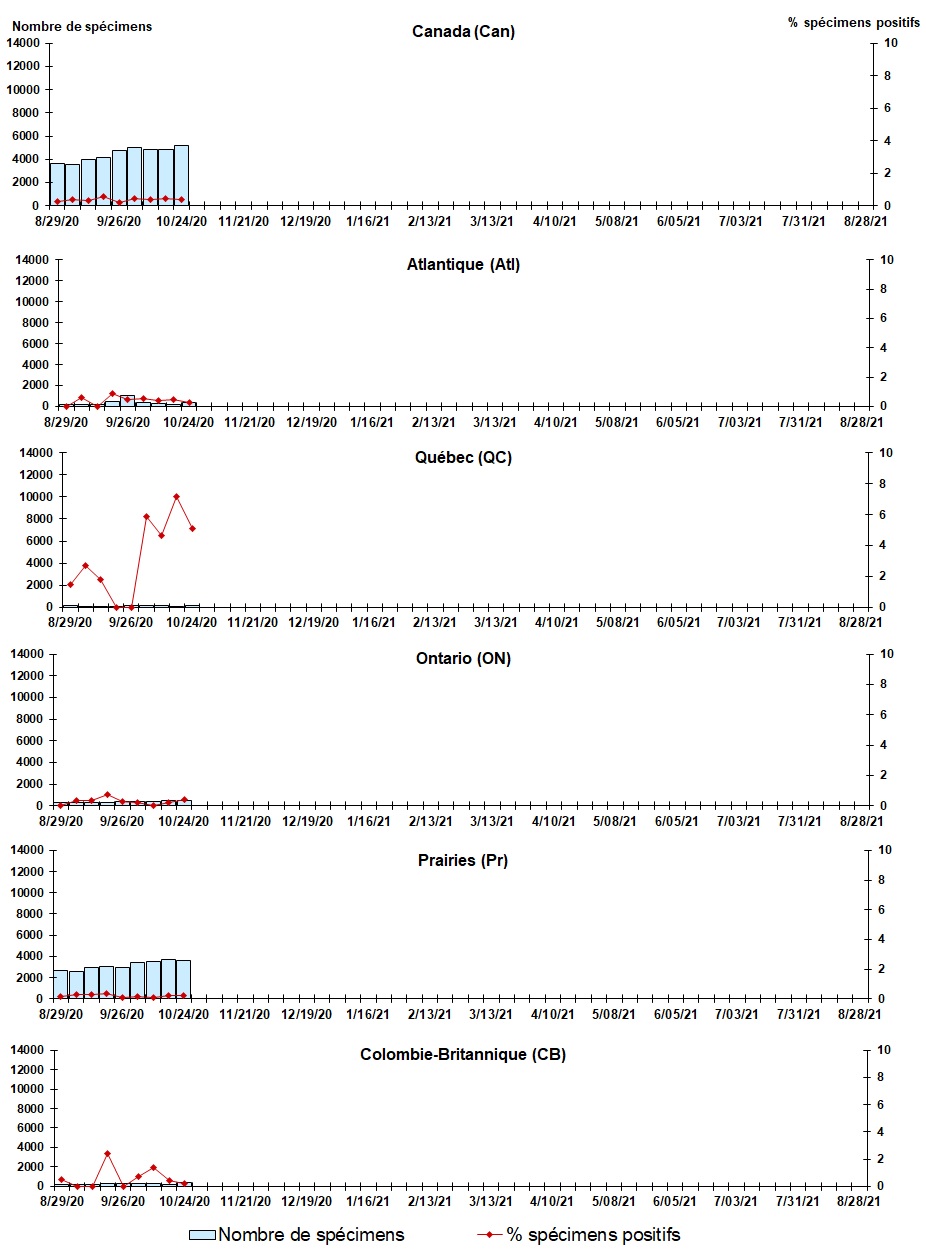 Figure 5. La version textuelle suit