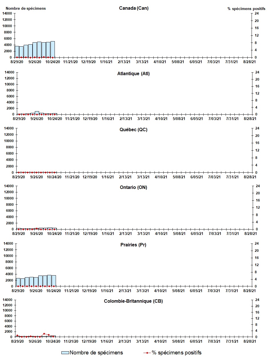 Figure 6. La version textuelle suit