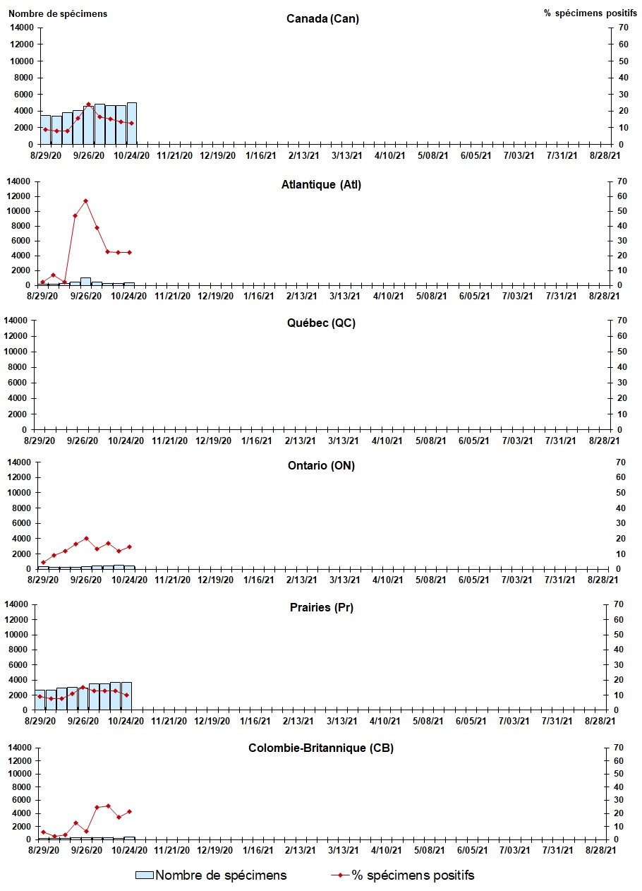 Figure 7. La version textuelle suit