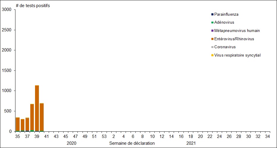 Figure 1. La version textuelle suit