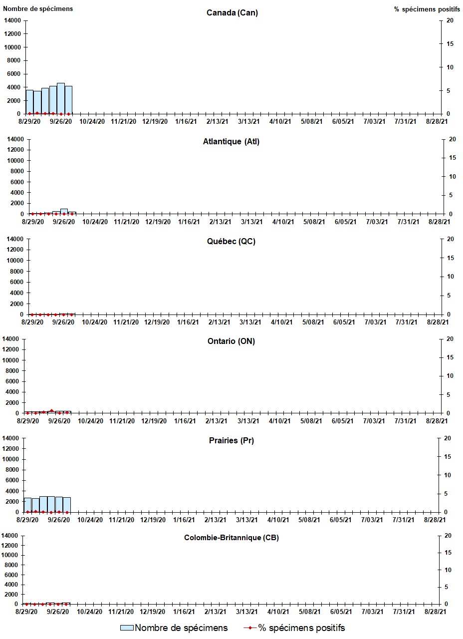 Figure 4. La version textuelle suit