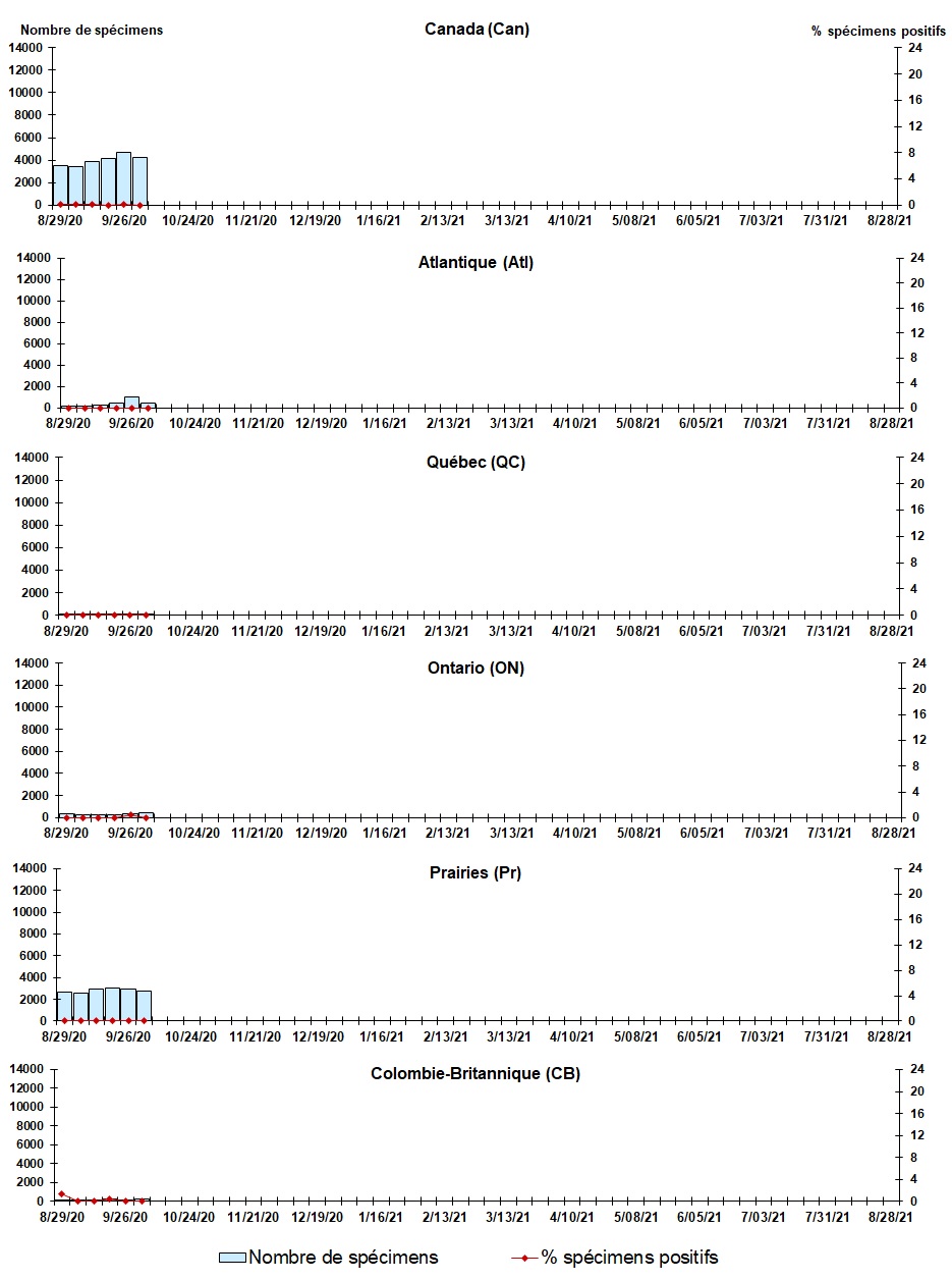 Figure 6. La version textuelle suit