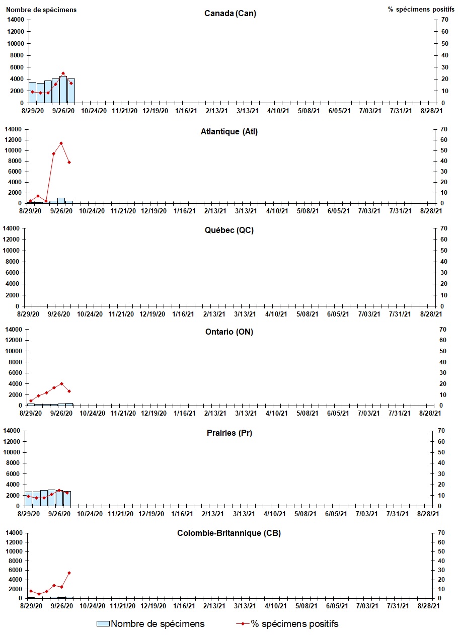 Figure 7. La version textuelle suit