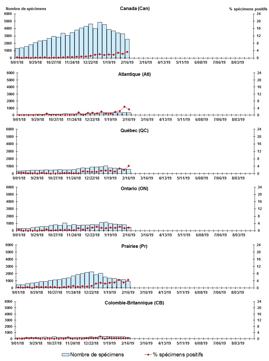 Figure 6. La version textuelle suit.