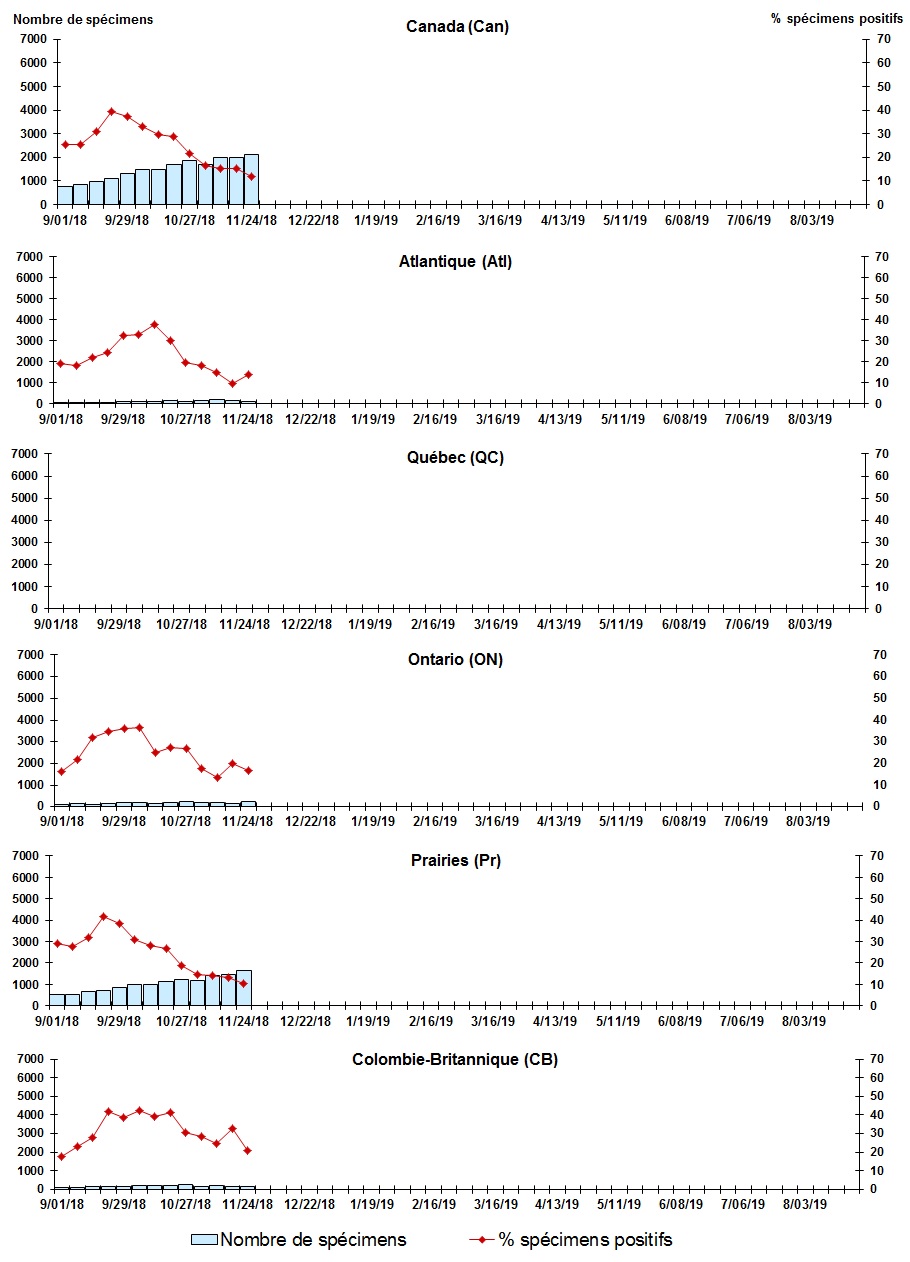 Figure 7. La version textuelle suit.