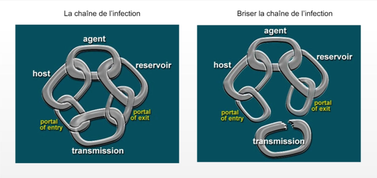 Figure&nbsp;1a et 1b. Chaîne de l'infection. La description textuelle suit.