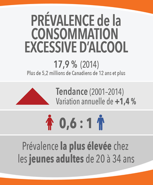 Image 5: Prévalence de la consommation excessive d'alcool