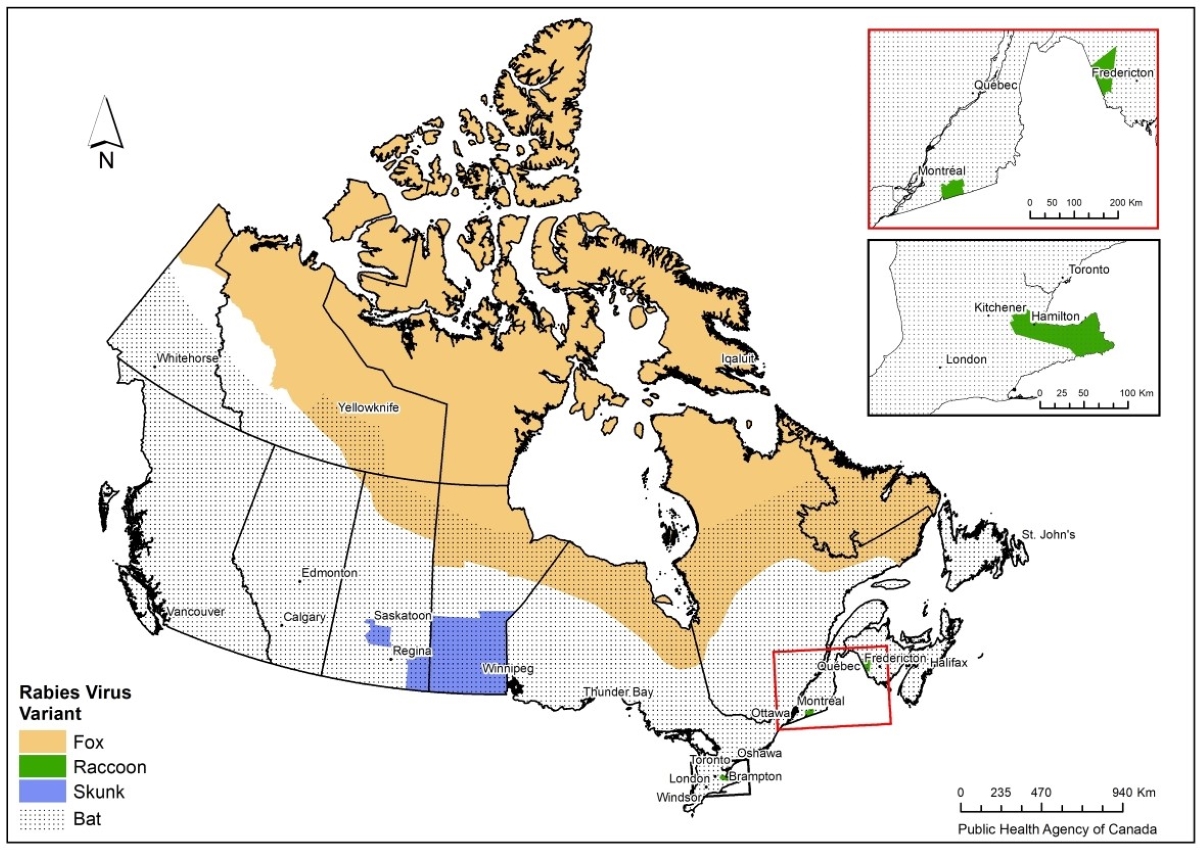 Figure 1. Text version below.