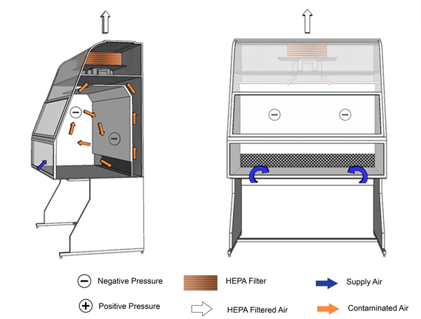 Figure 11-1b