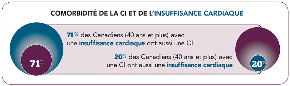 Infographie 7. Équivalent textuel ci-dessous.