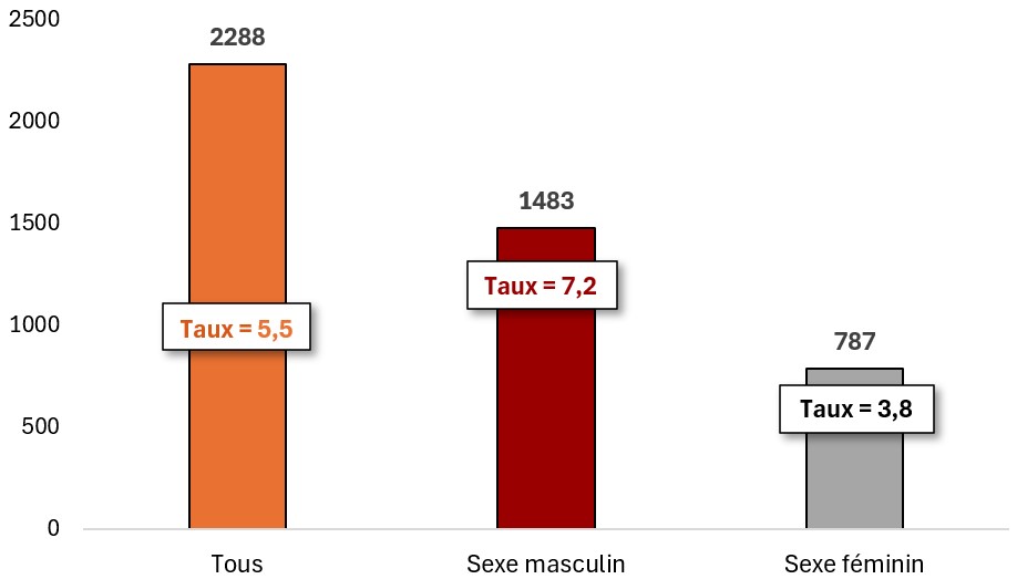 Figure 2. La version textuelle suit.