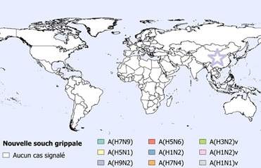 Une figure indiquant la répartition spatiale des cas humains des grippes aviaires et porcines en août et septembre 2020 (n=1).
