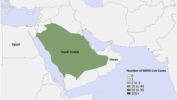 A figure indicating the spatial distribution of human cases of MERS-CoV in March 2020.