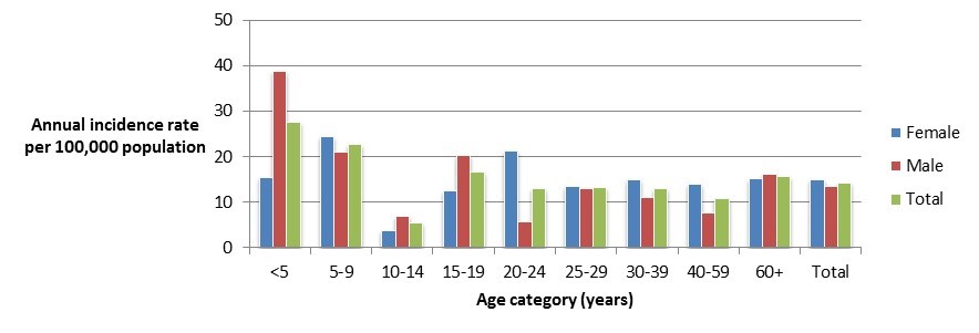 Figure 2.2