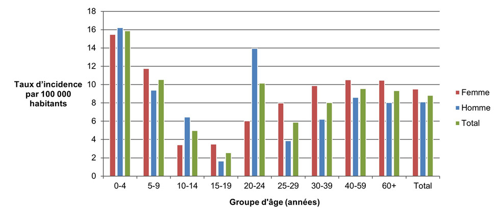 Figure 2.4: La version textuelle suit.