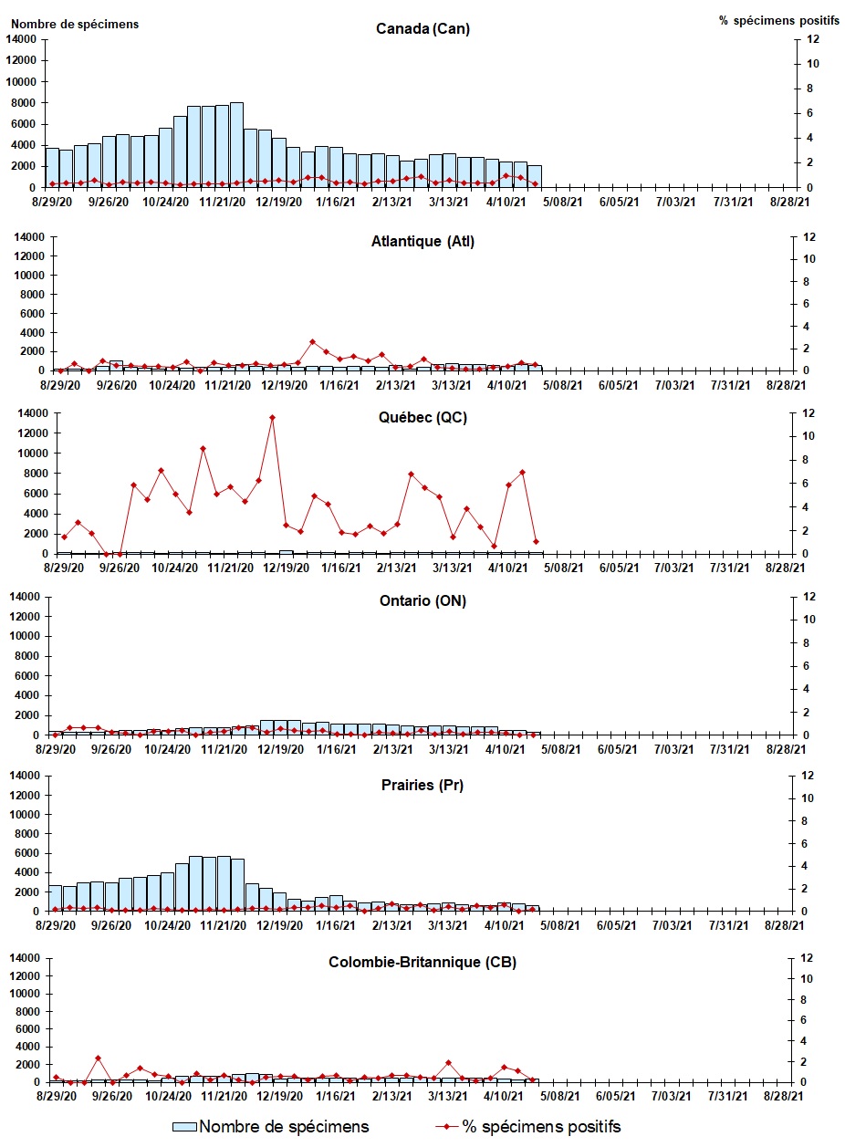 Figure 5. La version textuelle suit.